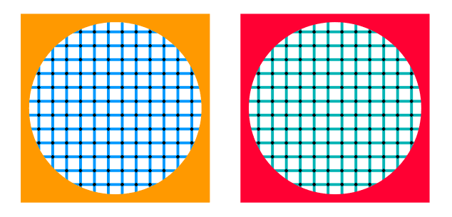 Зрительные (оптические) иллюзии / Иллюзии цвета и контраста