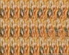 Visual (optical) illusions / 3D pictures (stereograms from patterns)