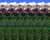  ()  / 3D- (  )