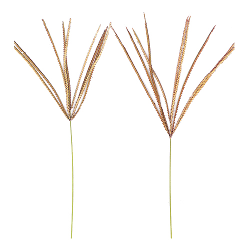   ( )