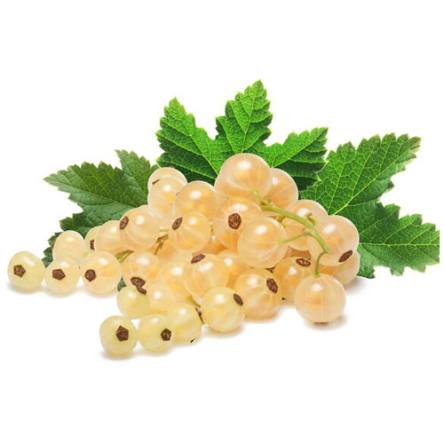 Смородина белая Смородина белая