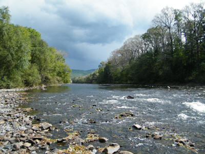 ����������� ����