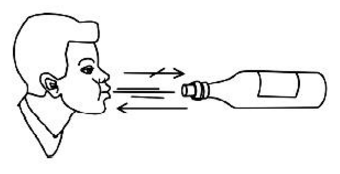 Ôîêóñ Íåïîñëóøíàÿ ïðîáêà