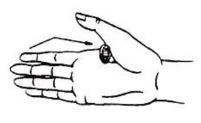 Ôîêóñ Íàïåðñòîê èç íèîòêóäà