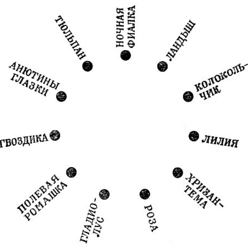 Ôîêóñ Êàðòà öâåòîâ