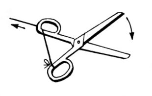 Ôîêóñ Çàãèïíîòèçèðîâàííûå íîæíèöû